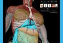Human Anatomy Atlas 2026 screenshot 1