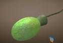 Idle Evolution - from Cell to Human screenshot 6