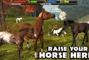 Ultimate Horse Simulator screenshot 2