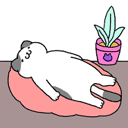 Purrfect Cats　-Cats Are The Best-