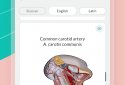 Easy Anatomy - Learn anatomy efficiently screenshot 4