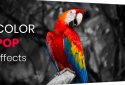 Color Pop effects photo editor screenshot 1 Color Pop effects photo editor screenshot 1