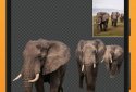 PhotoCut - Background Eraser & CutOut Photo Editor screenshot 3