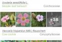 PlantNet Plant Identification screenshot 4