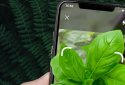 Plant ID: Plant Identification screenshot 1