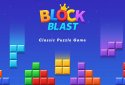 Block Blast! screenshot 1