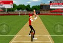 Stick Cricket Classic screenshot 1