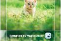 Magic Eraser - AI foto düzenleyici screenshot 1
