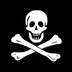 PiRaTuS