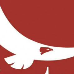 Воральт из России