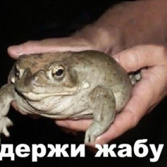 Zhaba!!!