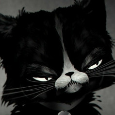 Saner 002