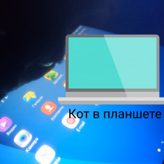 Кот В Планшете