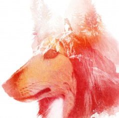 Незнаю какой ник