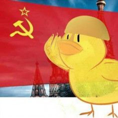 УТКА с КРЫШКОЙ