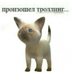 ПробкаОтВина