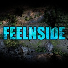 Feelnside