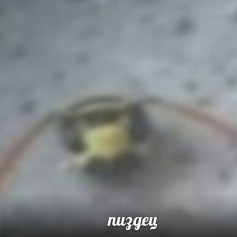 VityazMM
