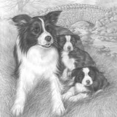 АлександрТР720