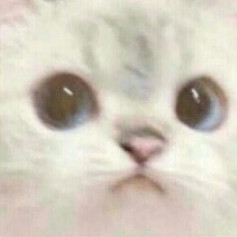ya_sabaka