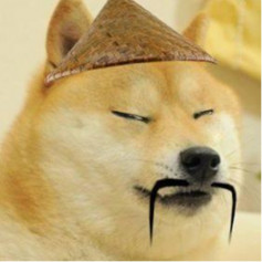 XxXAsian_DogeXxX