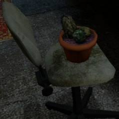 Кактус Фримена