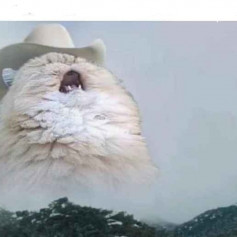 Не рекардо милос