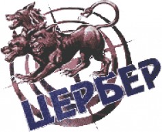 Cerber702