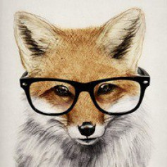 [FT] MrFox