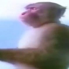 Чел ты хорош